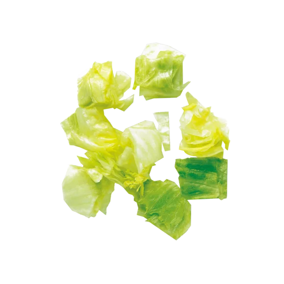 28180W Robot Coupe Sebze Doğrama Makinesi Diskleri Küp Kesim Ekipmanlari 50 x 70 x 25 mm Salades